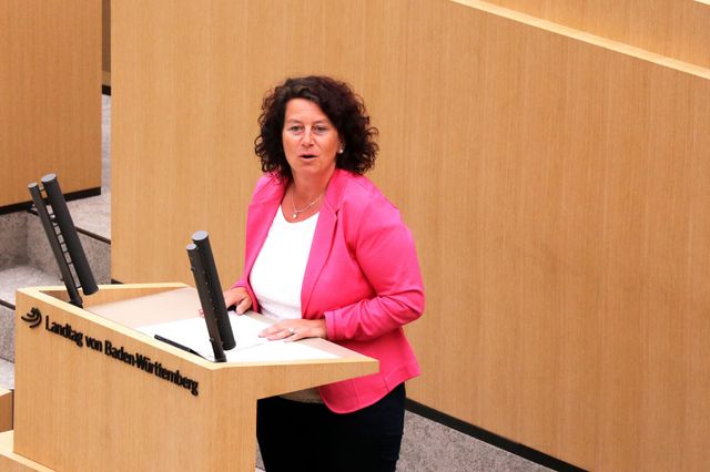 Pressestatement Petra Krebs MdL (GRÜNE) zur vertagten Öffnung von Kitas und Schulen in Baden-Württemberg