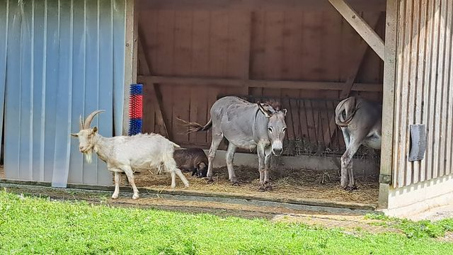 Tierschutz weiterdenken