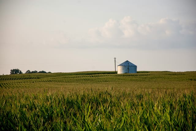 Spitze auf dem Land